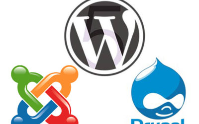 WordPress Alapú Weboldal készítése, tanácsadás és oktatás